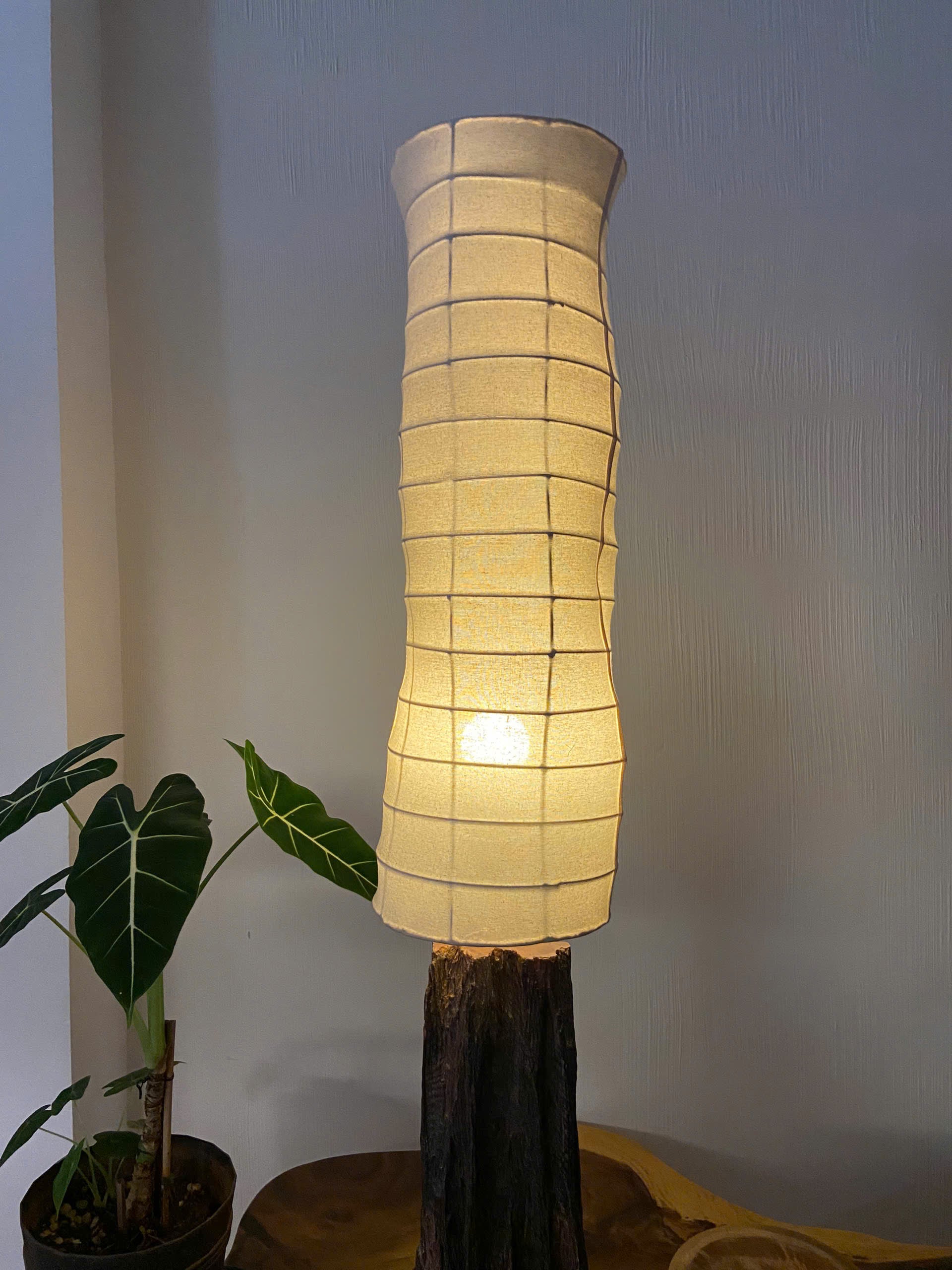 Compact Pedestal Driftwood Table Lamp